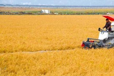 江西省农业农村厅农业机械化管理处关于2024年第二期农机购置补贴产品形式审核情况的